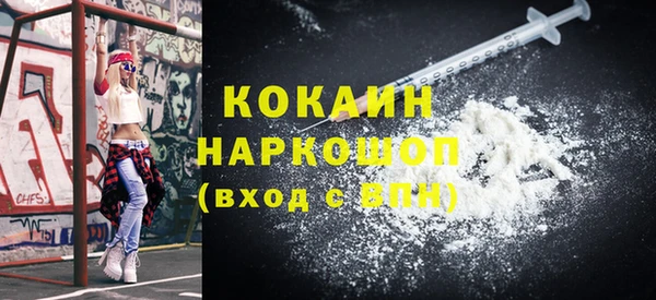 хмурый Алзамай