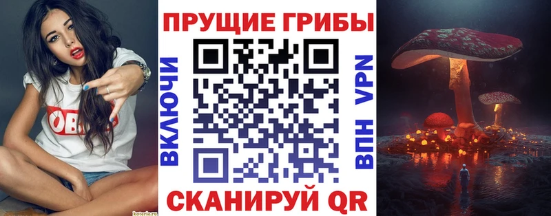 Галлюциногенные грибы ЛСД  Купить  Верхоянск 